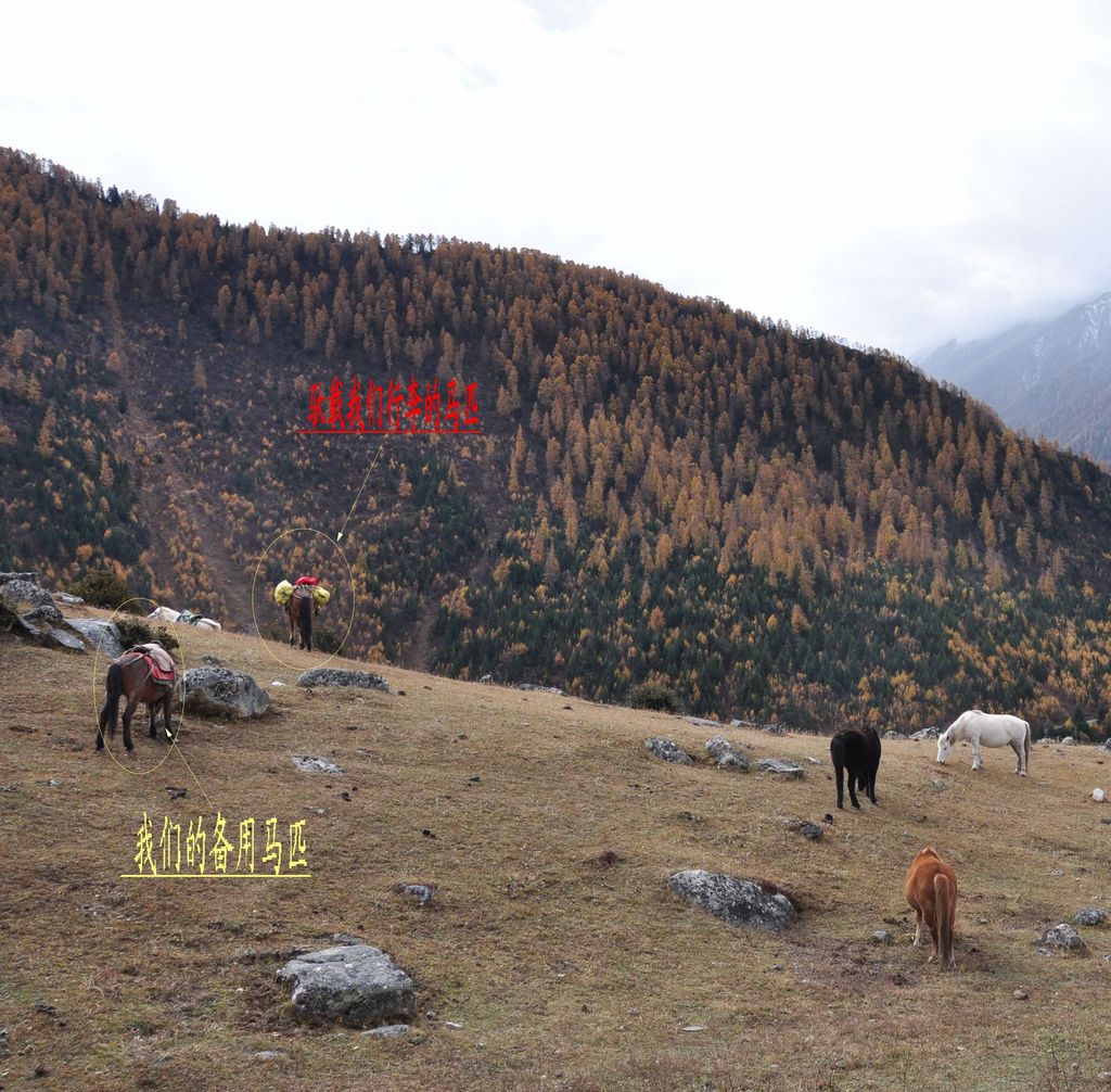 Ĵ 061.jpg