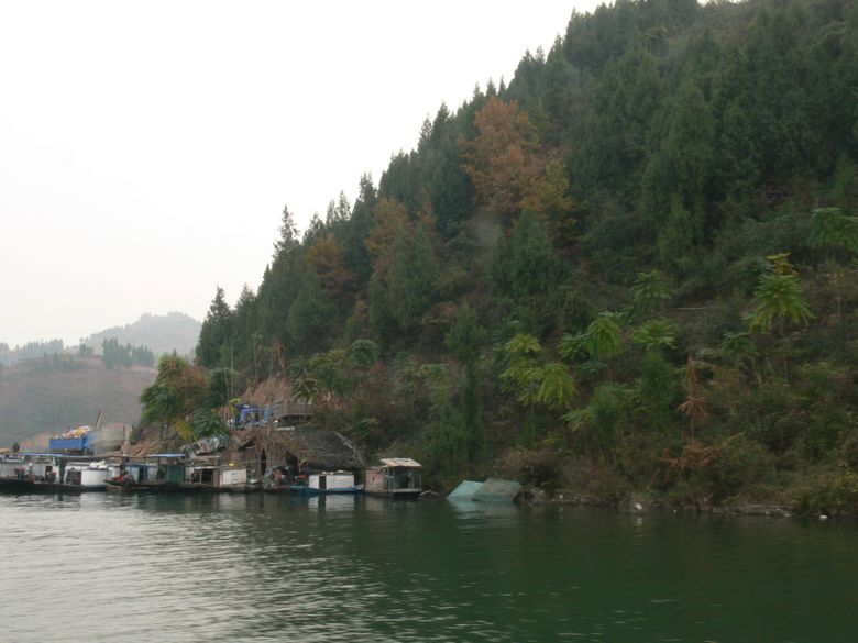 p1130086.jpg