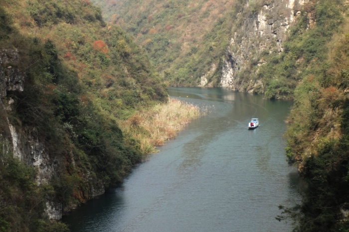 dsc03595.jpg