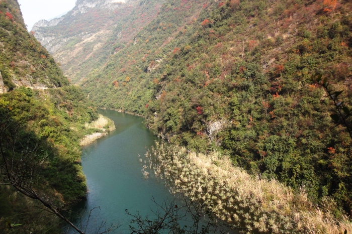 dsc03589.jpg