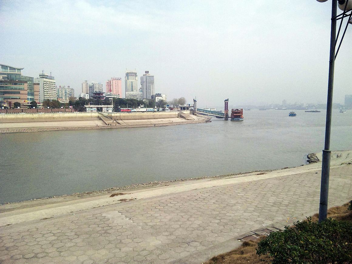 neo_img_dvc00031.jpg