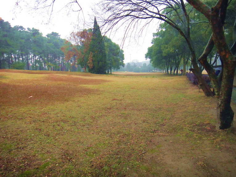 dsc08401.jpg