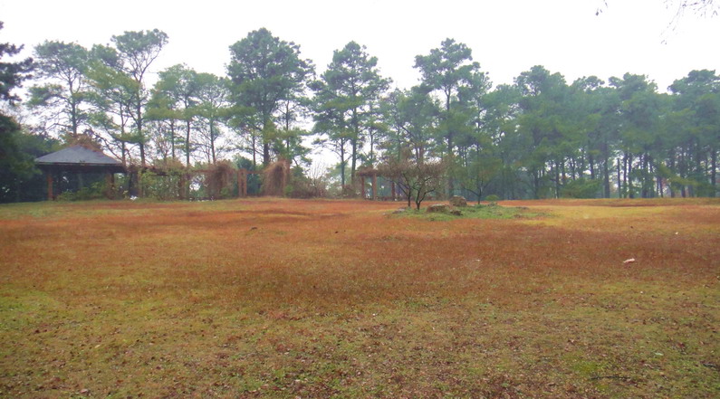 dsc08400.jpg