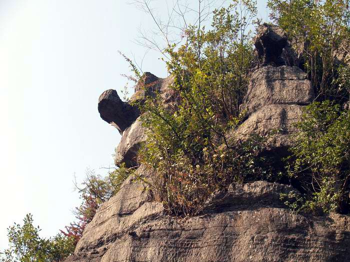 С pc025307.jpg