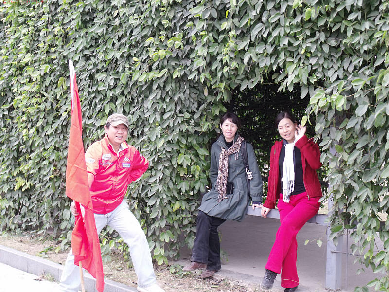 dscf9356.jpg