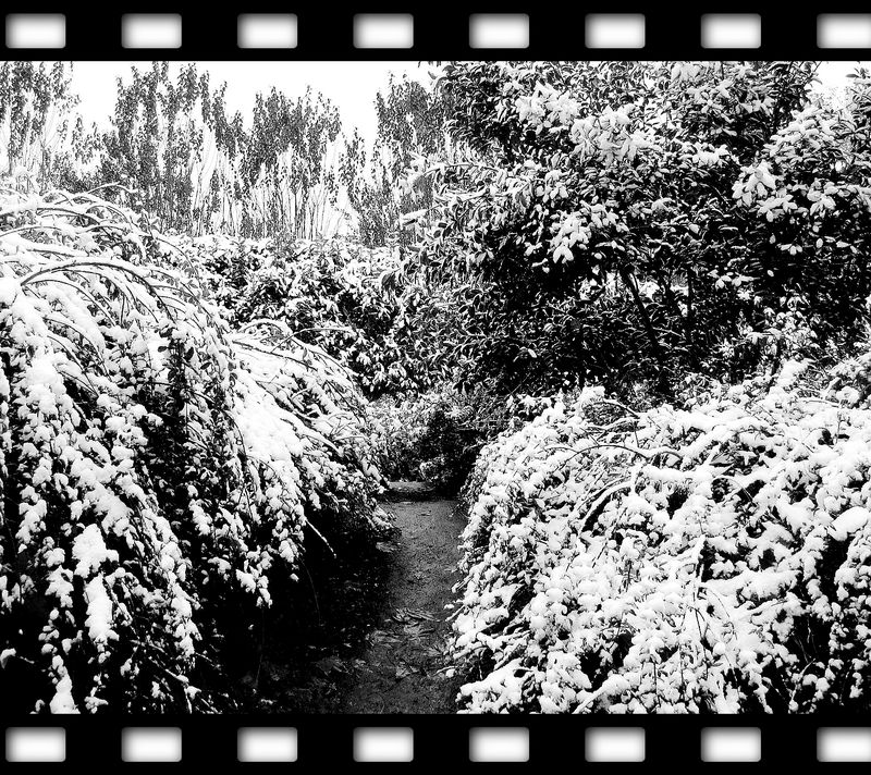 img_3136a.jpg