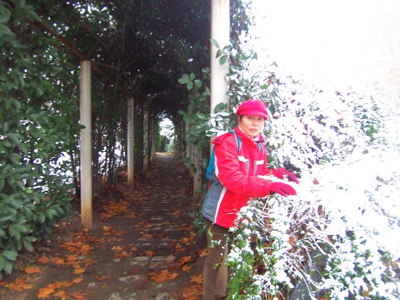 100_5095.jpg