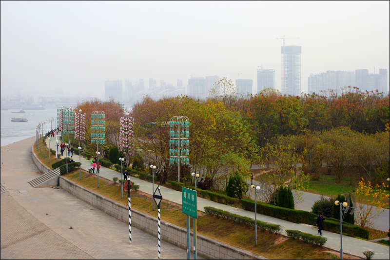 117.jpg