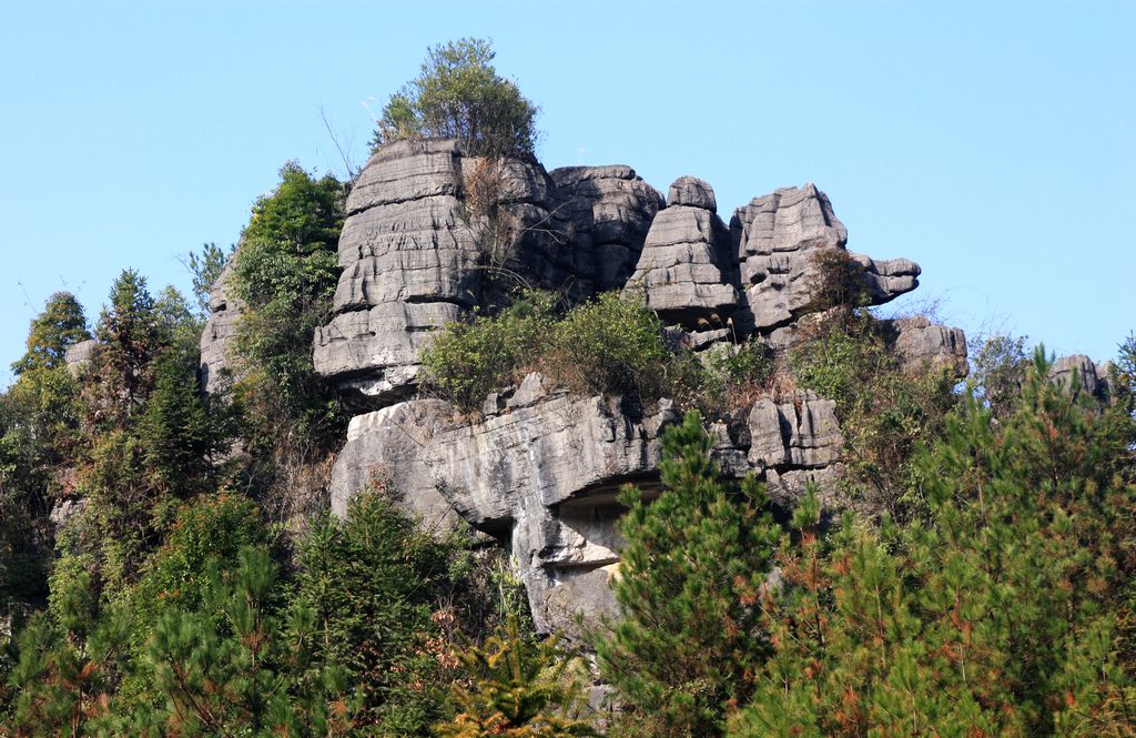 ˲졢ʩ 205.jpg