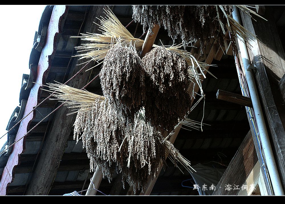 dsc_0606.jpg