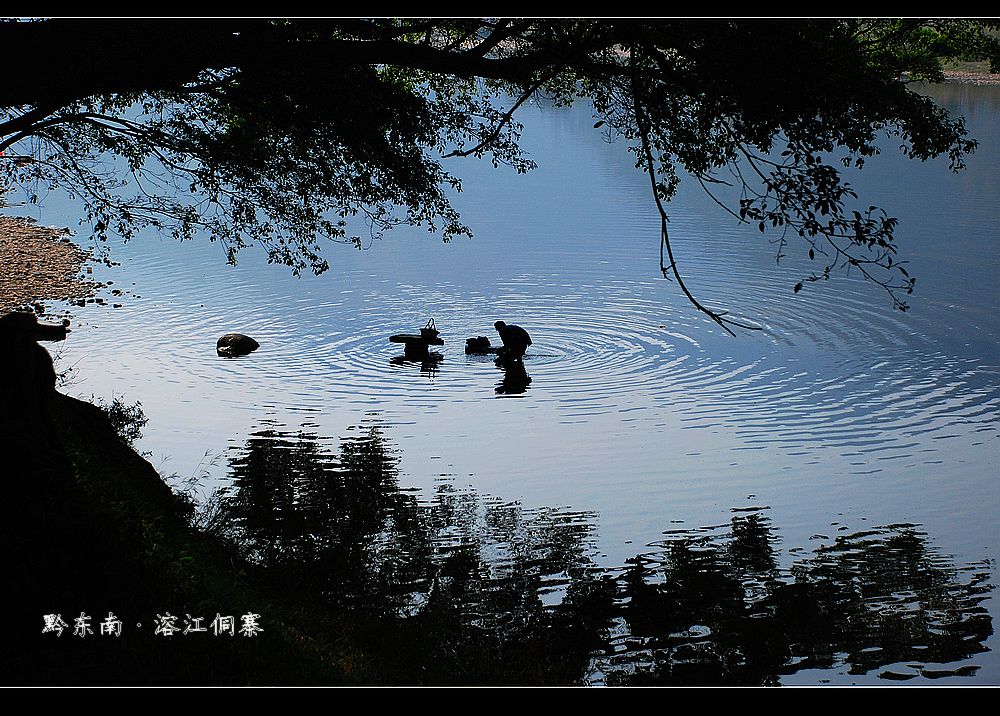 dsc_0705.jpg