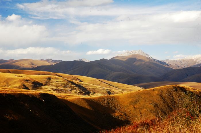 dsc_4848.jpg