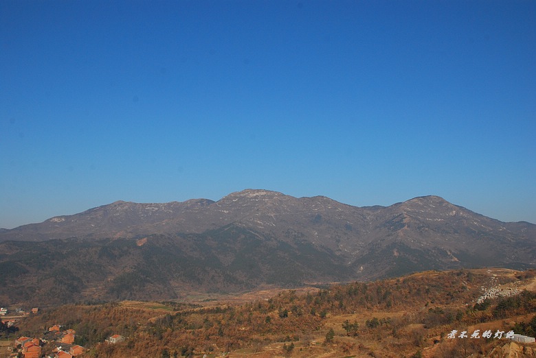 dsc_8875_neo_img.jpg