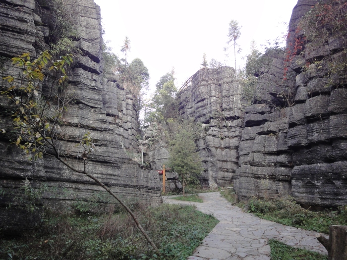 dsc03730.jpg