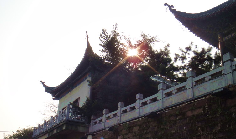 dsc08895.jpg