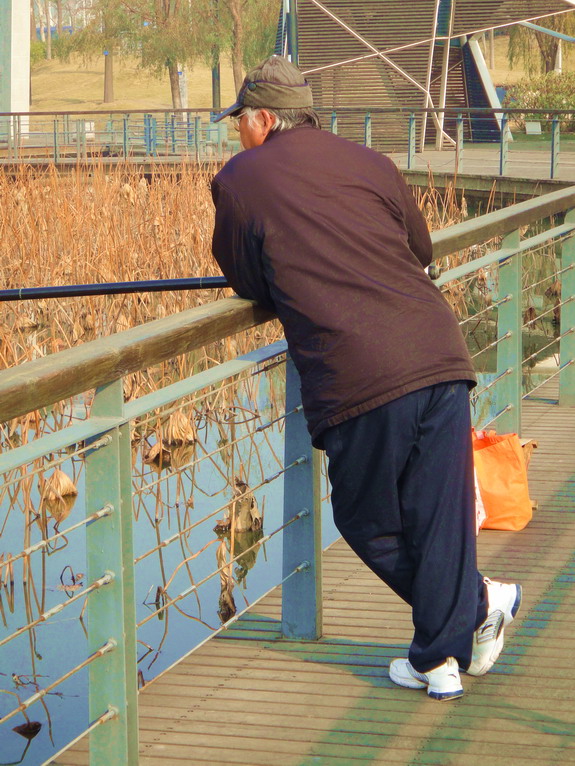 dsc08873.jpg