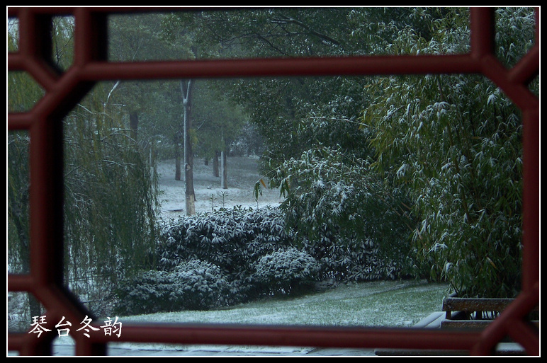 20101215ąѩ (21).jpg