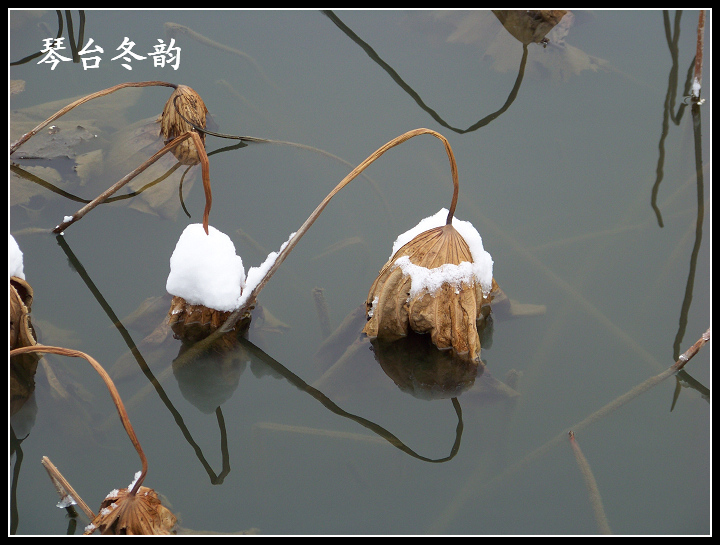 20100106g̨-ɷѩ (28).jpg