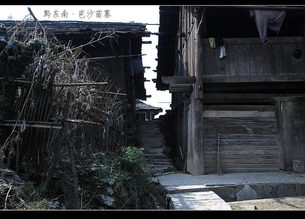 dsc_0931.jpg