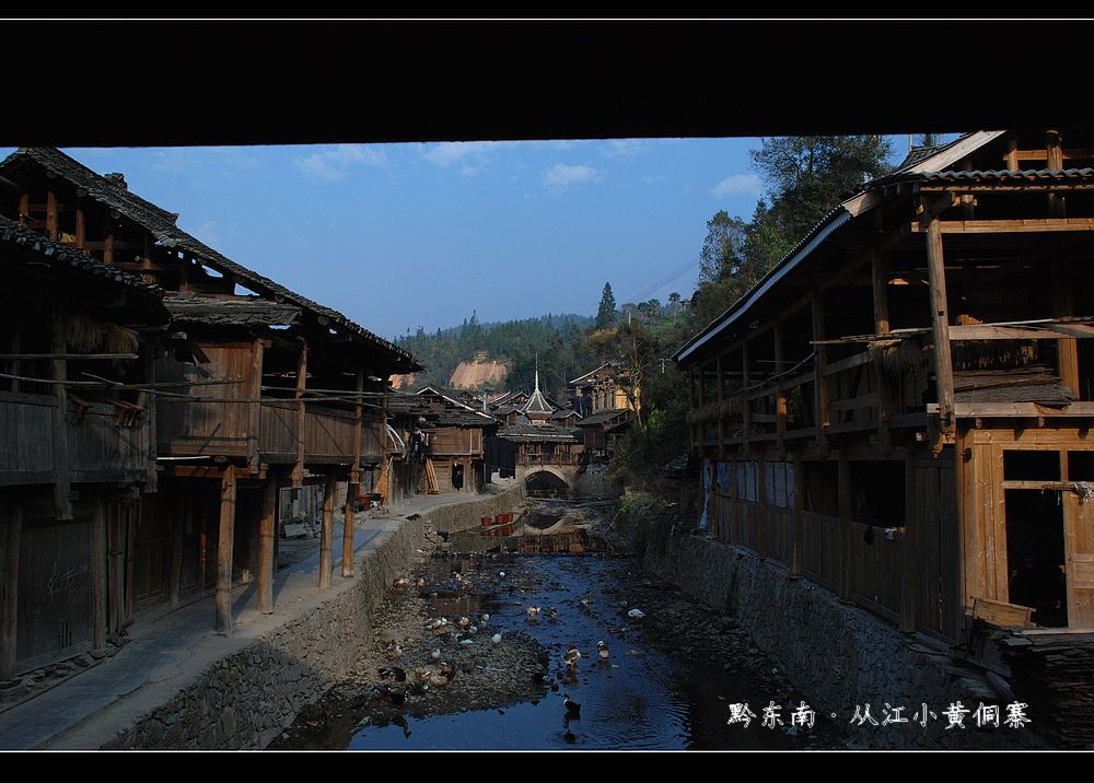 dsc_0986.jpg