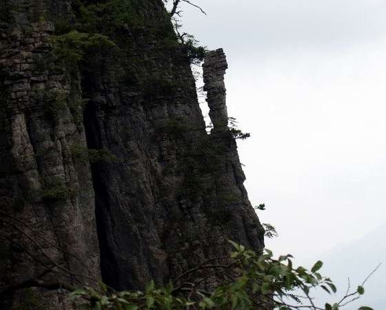 С p8213035.jpg