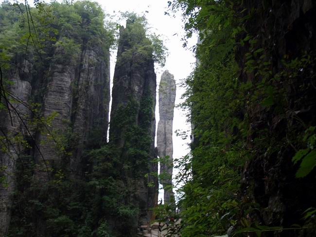 С p8213046.jpg