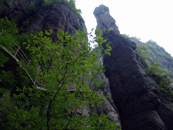 С p8213072.jpg