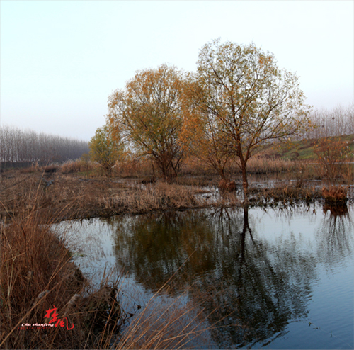 Ƭ 541-2.jpg