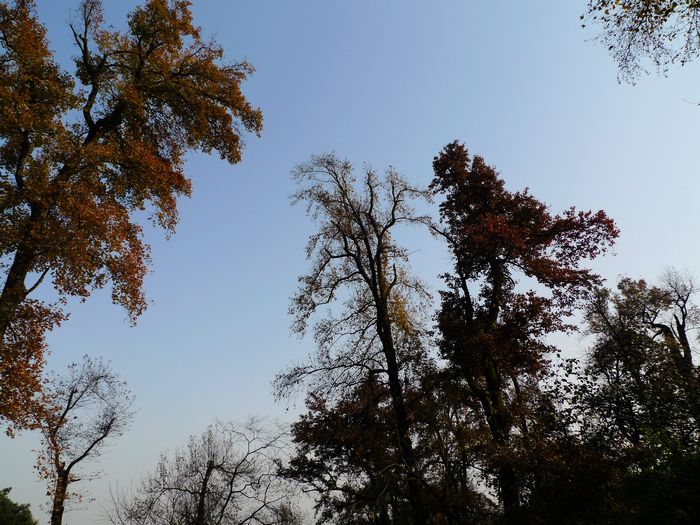 p1010012.jpg
