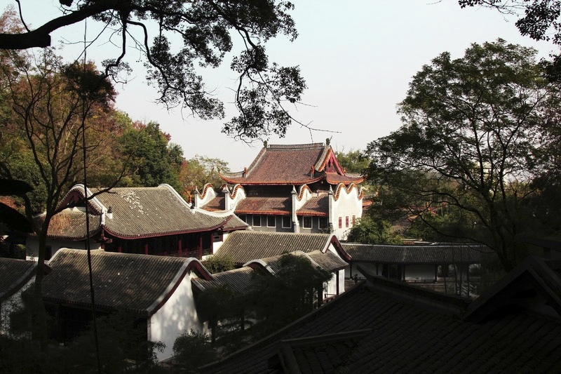 neo_img_img_1390.jpg