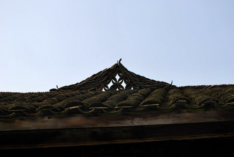 dsc_0366.jpg