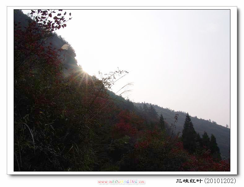 dsc00179.jpg