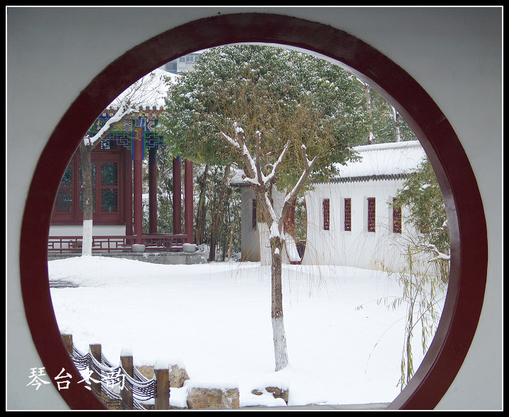 20100106b̨-ƹݶѩ (73).jpg