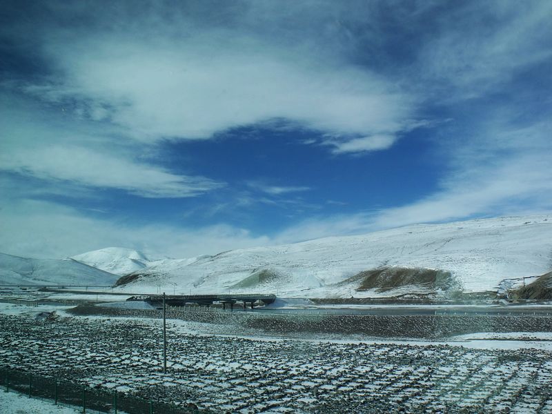 dscf8479.jpg