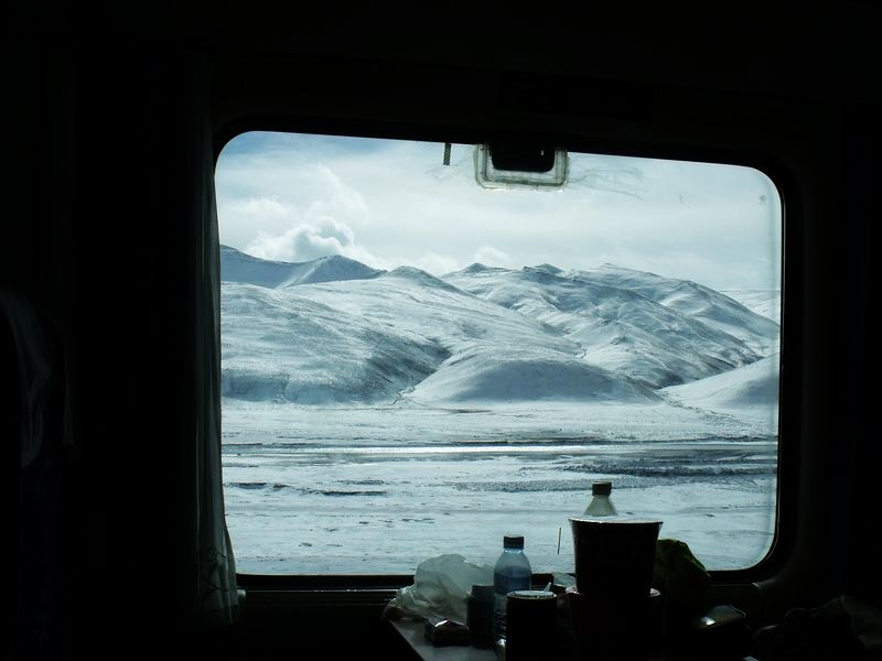 dscf8495.jpg
