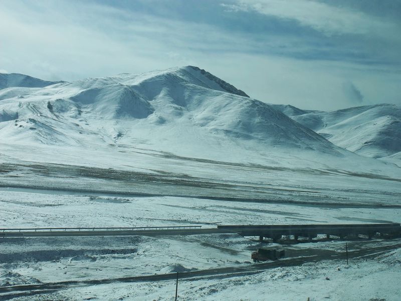 dscf8498.jpg