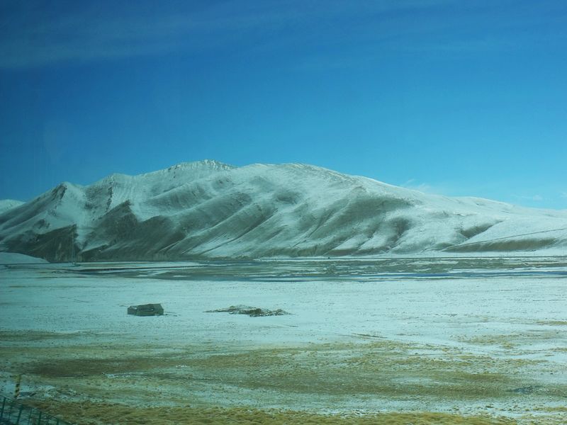 dscf8483.jpg