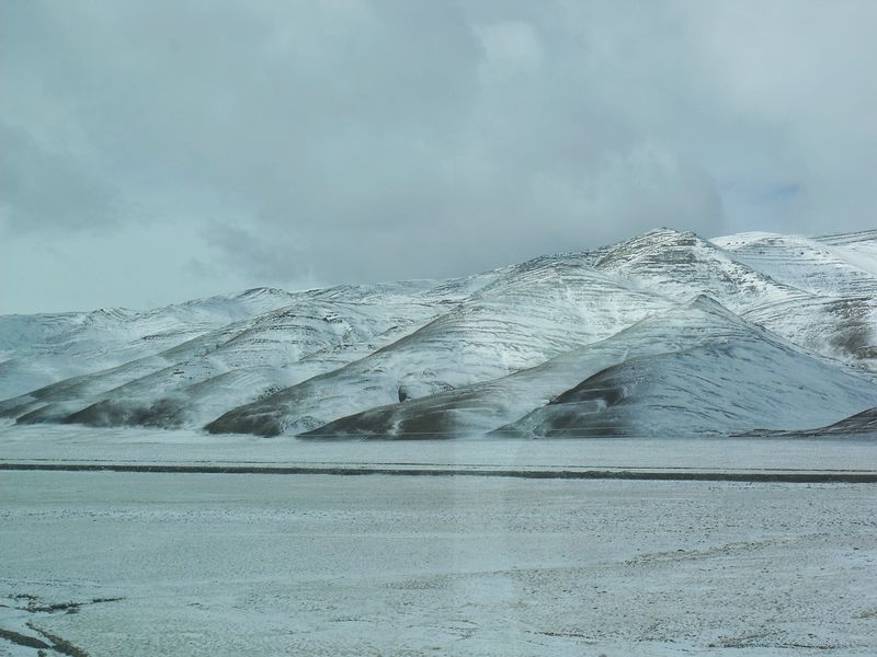 dscf8510.jpg