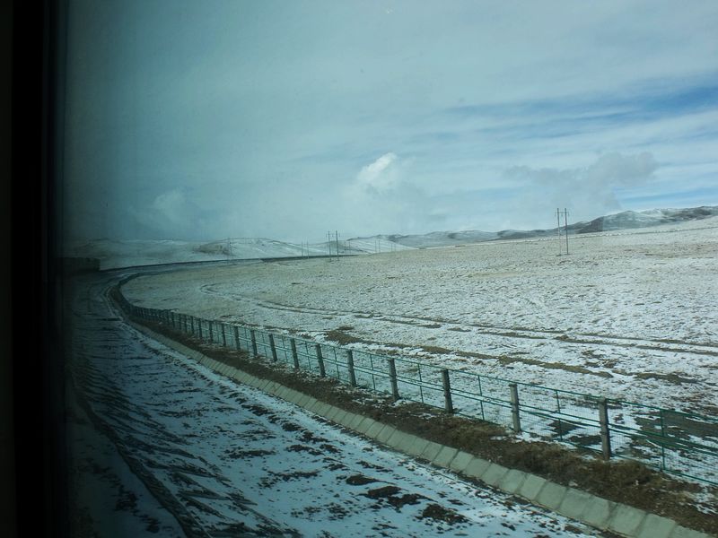 dscf8514.jpg