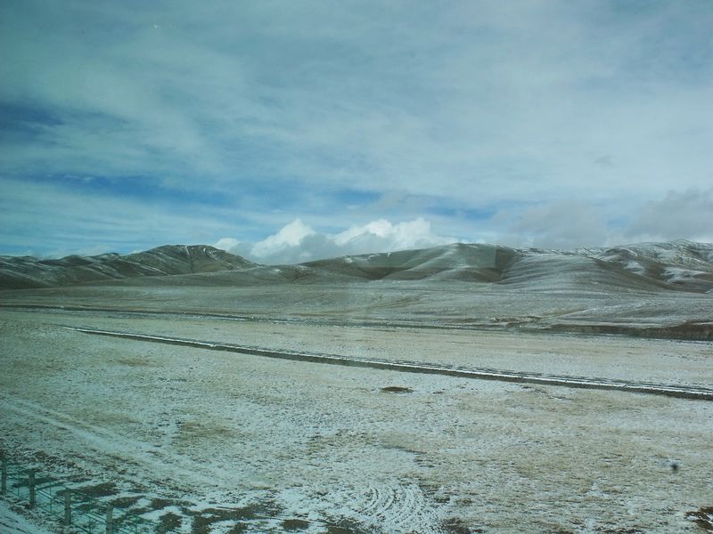 dscf8517.jpg