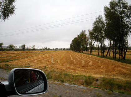 dscn8495.jpg