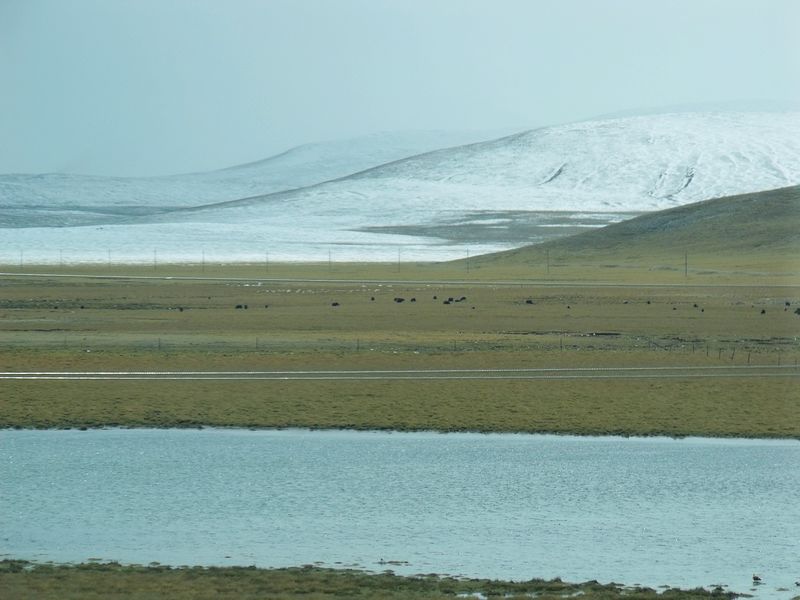 dscf8554.jpg