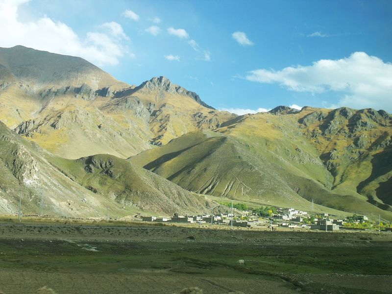 dscf8575.jpg