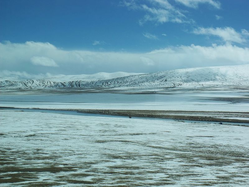 dscf8560.jpg