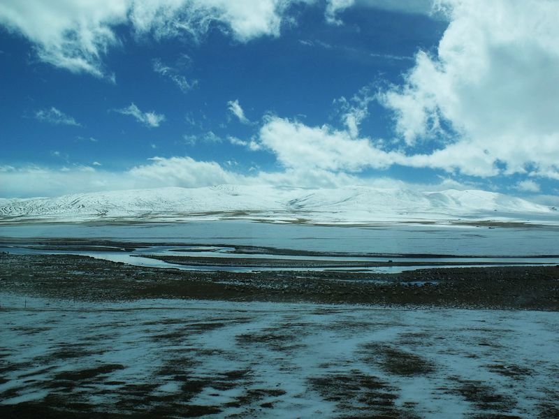 dscf8565.jpg