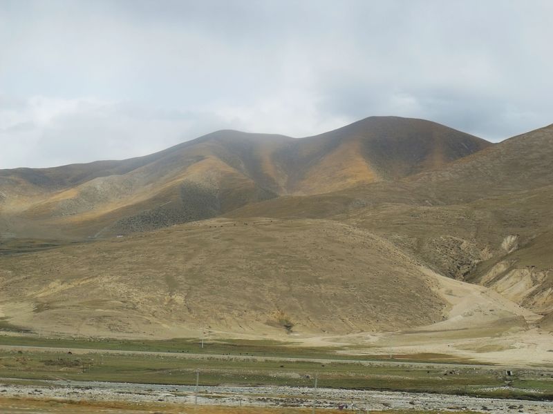 dscf8568.jpg