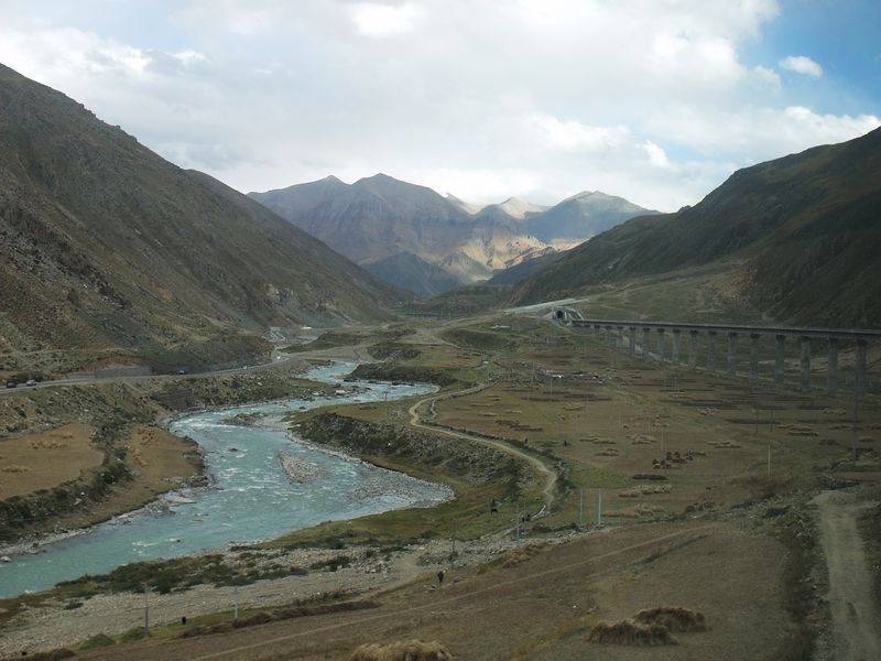 dscf8572.jpg