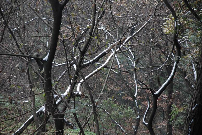 С С dsc_0029.jpg