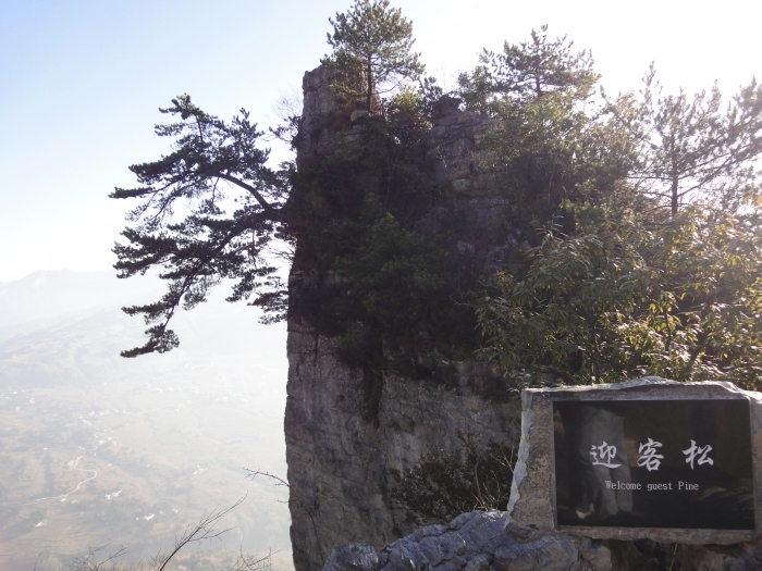 dsc04114.jpg