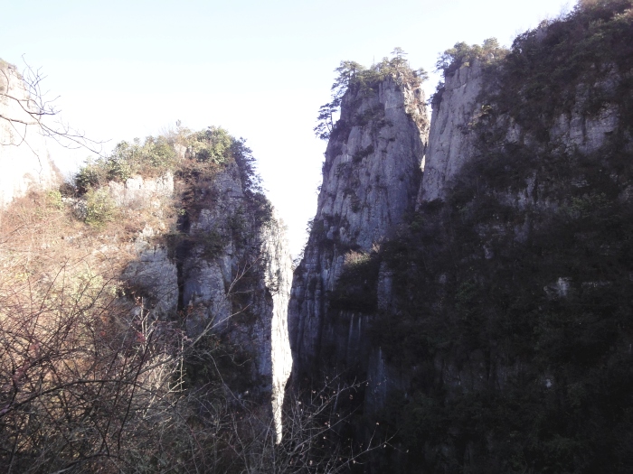 dsc04120.jpg